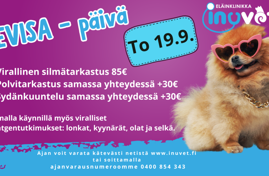 Syyskuun PEVISA-päivä