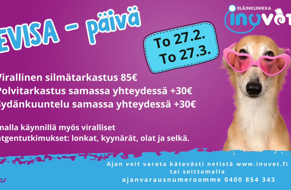 PEVISA – Tarkastukset